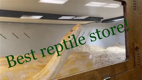 Looking for reptiles at the aquatic critter ,Nashville Tennessee - YouTube