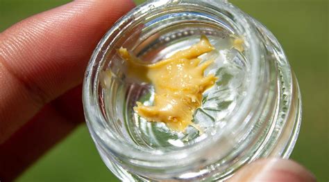 Rosin Dabs: A Guide To Solventless Extraction | Yo Dabba Dabba