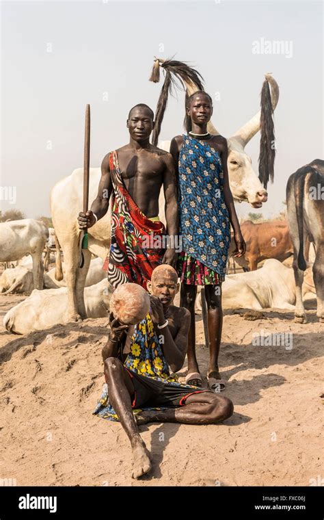 South Sudan. 21st Feb, 2016. The men and women of the Mundari tribe pose with a cattle prod and ...