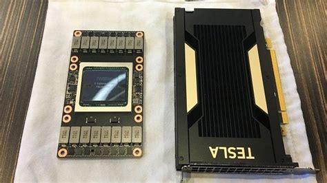 Nvidia Volta Tesla V100 GPU Bechmarks Reveal Significant Increase In Performance Compared To ...