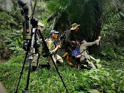 The Yasuni National Park - Shiripuno Amazon Lodge