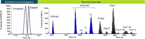 Characterization and relative quantification of mRNA 5’capping