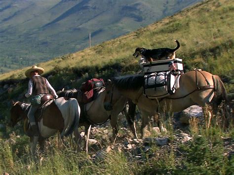 Happy trails: Woman travels country on horseback! The ultimate in roughing it! | Travel, Happy ...