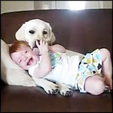 The BEST Babies Laughing at Dogs Compilation on the Internet! Click ...