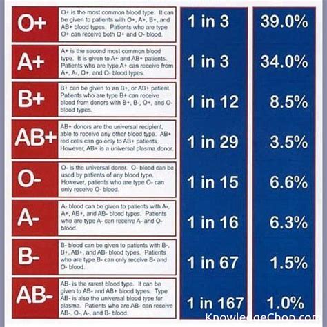 Blood Types | 🥷 Knowledge Ninja