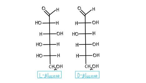 Fischer Projection - Organic Chemistry Video | Clutch Prep