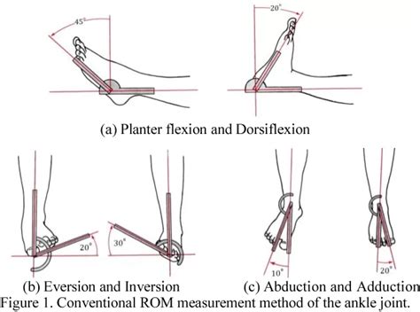 Range of Motion (ROM) - Mobile Physiotherapy Clinic