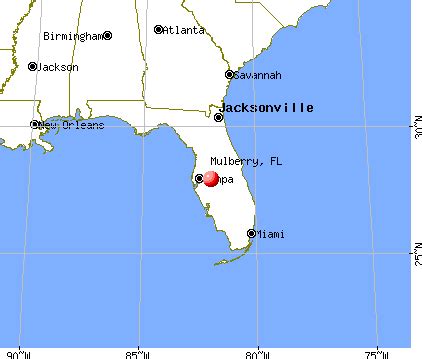 Mulberry, Florida (FL 33860) profile: population, maps, real estate ...