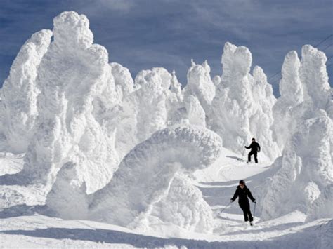 Les Monstres de glace de Zaô Onsen. – Mode homme , lifestyle, culture, beauté, tendances