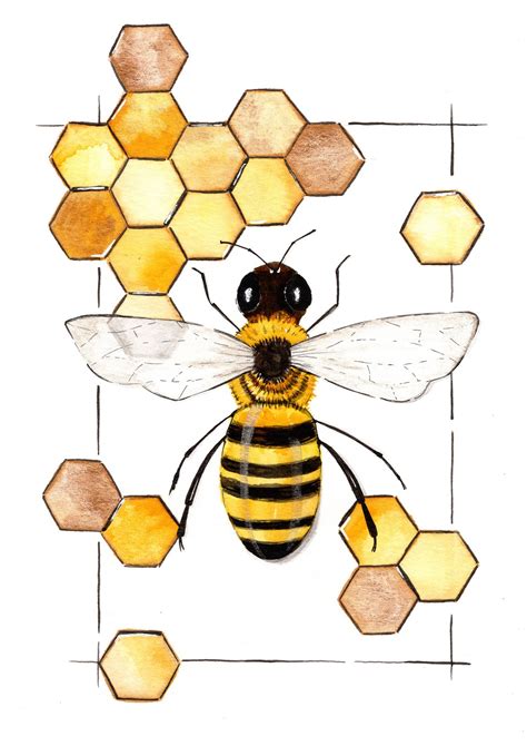 Honeycomb Bee Illustration | Arte de abeja, Fotos de abejas, Dibujo de abeja