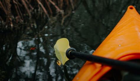 What Size Paddle Do I Need? Kayak Paddle Sizing Guide - PaddlingSpace.com