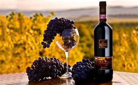 Where to taste Montalcino's best wines - Relais Osteria dell'Orcia