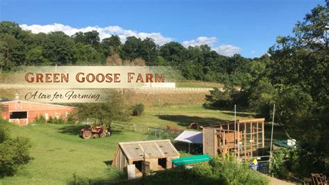 Green Goose Farm | Family-Run Pittsburgh Farm | Visit us today