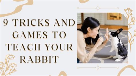 9 Tricks and games to teach your rabbit - The Rabbit Hop