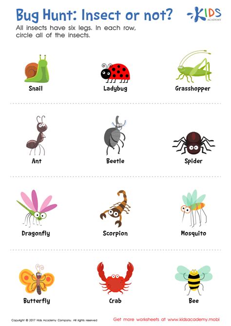 Insect or Not? Worksheet: Free Printable PDF for Kids