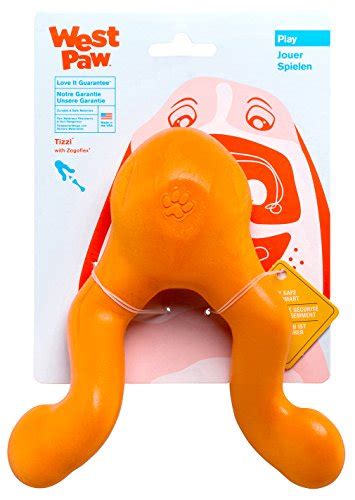 Dog Fetch Toys | The 15 Top Dog Fetch Toys for Hours of Endless Play