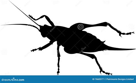 Cricket Insect Silhouette Royalty Free Stock Photography - Image: 7660377