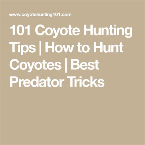 101 Coyote Hunting Tips | How to Hunt Coyotes | Best Predator Tricks ...