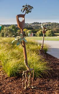 Regeneration: Oak Garden Fork | by Jim Wheeler Auckland Bota… | Flickr