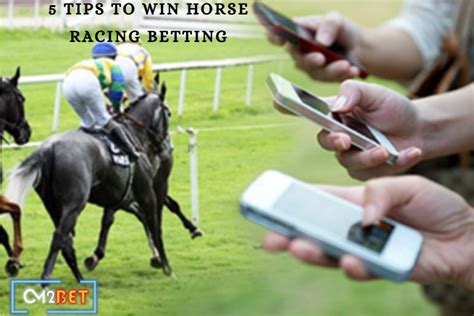 5 Tips To Win Horse Racing Betting With Enhanced Skills