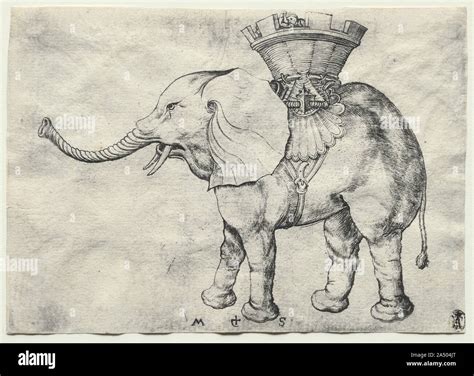 An Elephant with Howdah, c. 1485 Stock Photo - Alamy