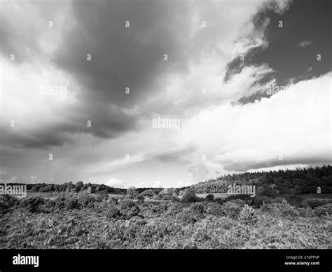 B&W, Storm Clouds and Rain, The New Forest National Park, Hampshire ...