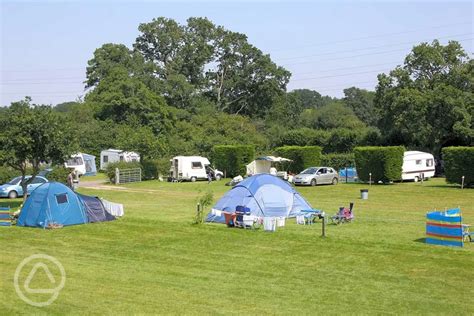 40+ campsites in the New Forest - the park's best camping sites