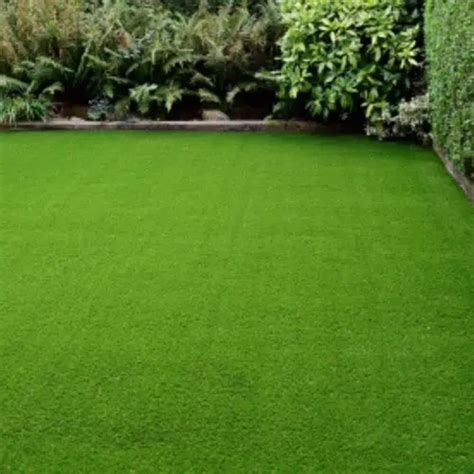 Doob Grass Seeds - Sansar Green It is Organic in nature