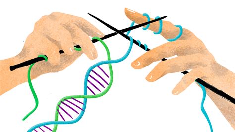 Combining The DNA Of 3 People Raises Ethical Questions : Shots - Health ...