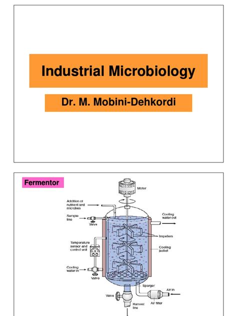 Industrial Microbiology | Fermentation | Biochemistry