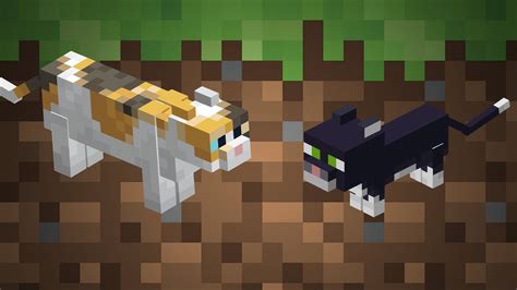 Cats Minecraft