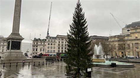 'World's most famous Christmas tree' arrives in Trafalgar Square - BBC News