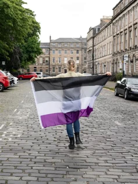 Exploring the Asexual Flag and Its Colors - TheDatingDairy