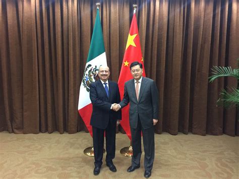 Mexico and China Strengthen Their Political Dialogue and Strategic Partnership | Secretaría de ...