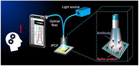 Biosensors | Free Full-Text | Imprinted Photonic Crystal-Film-Based Smartphone-Compatible Label ...