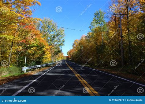 Country Road in Fall stock image. Image of road, great - 198737871