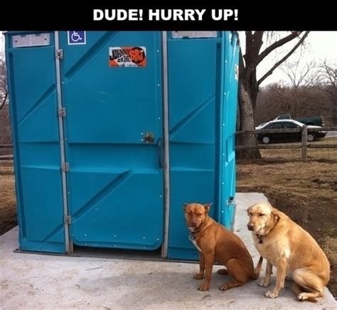 Porta Potty Funny Quotes. QuotesGram