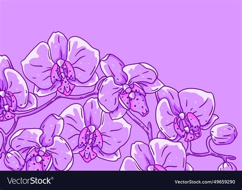 Background with orchid beautiful decorative Vector Image