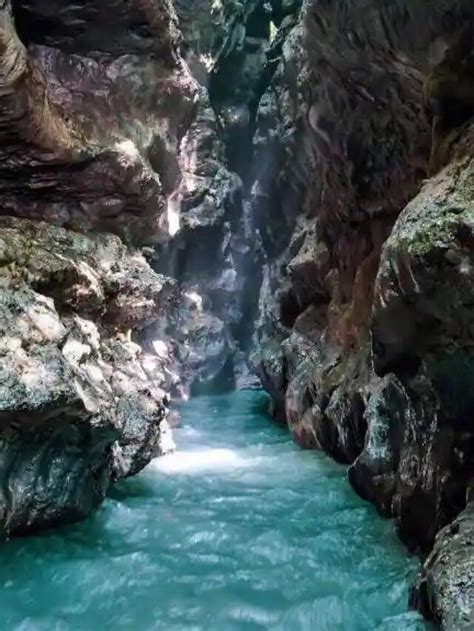 robbers cave dehradun : Beautiful places to visit in dehradun - kwikblog