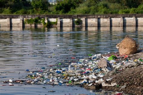 La contaminación ambiental: tipos, causas y efectos detallados