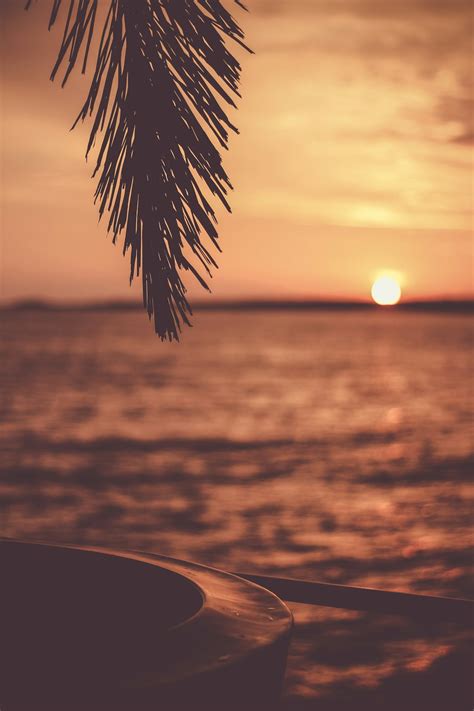 Sunset Wallpapers: Free HD Download [500+ HQ] | Unsplash