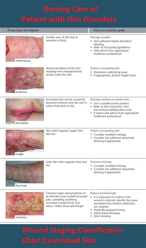 What Are The 3 Classifications Of Wound Healing - BEST HOME DESIGN IDEAS