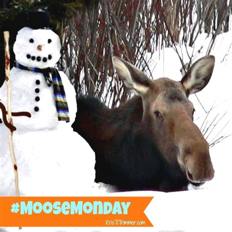 Moose Monday – Snow Day!