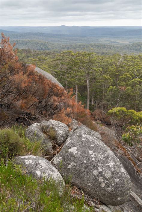 Mount Frankland National Park, Western Australia | Stock image | Colourbox