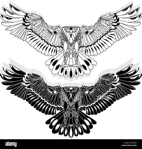 Eagle flying on white background illustration Stock Vector Image & Art - Alamy