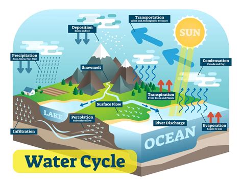 The biosphere is the area on Earth where all life occurs.