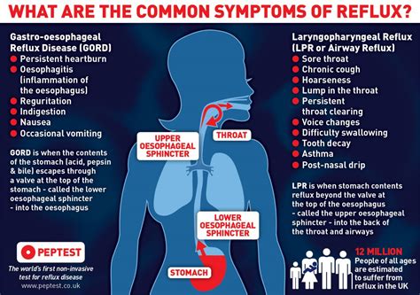 Peptest_GORD_InfoGraphic - Peptest - a reflux diagnostic device