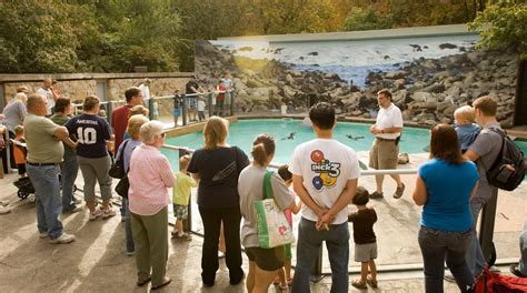 Lincoln Children's Zoo in Lincoln | Expedia.co.uk