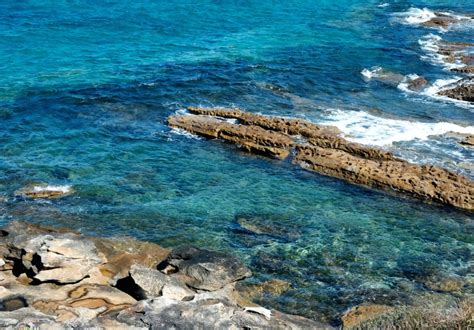 Take A Coastal Trek Through Kamay Botany Bay National Park