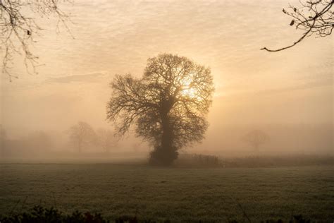 UK weather forecast: Will snow hit Britain after winter storms in Europe?